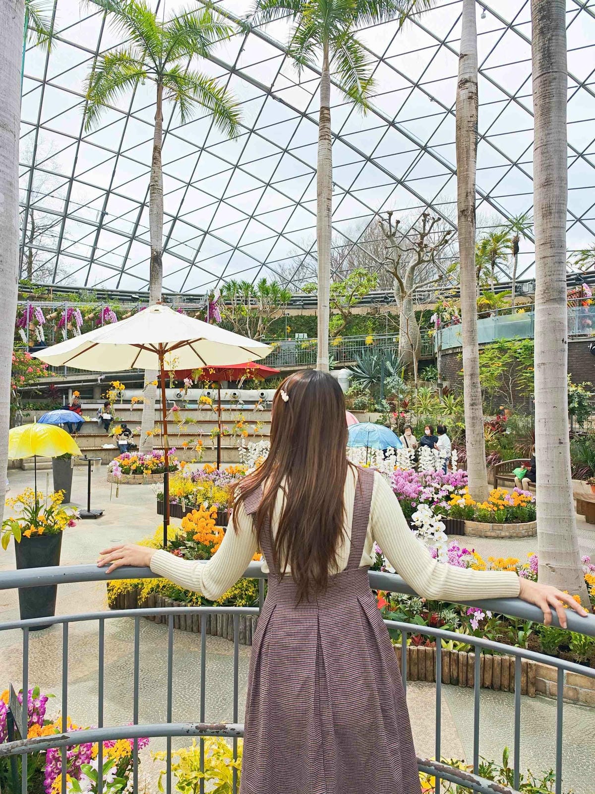 鳥取花回廊 (59).jpg 鳥取花回廊 (59).jpg