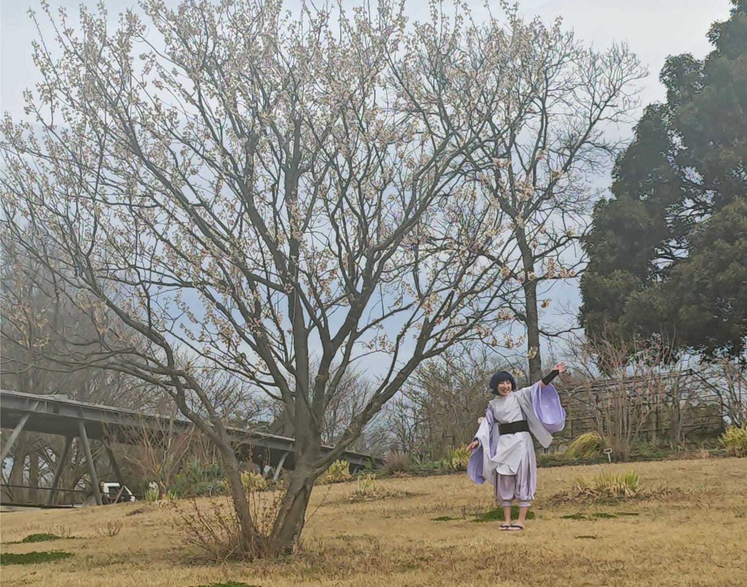 鳥取花回廊 (22).jpg 鳥取花回廊 (22).jpg