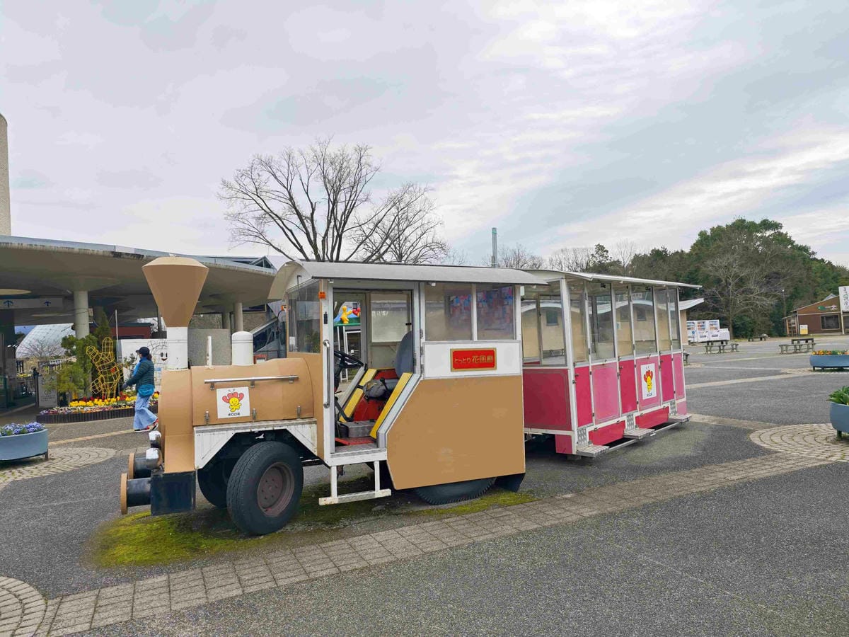 鳥取花回廊 (13).jpg 鳥取花回廊 (13).jpg