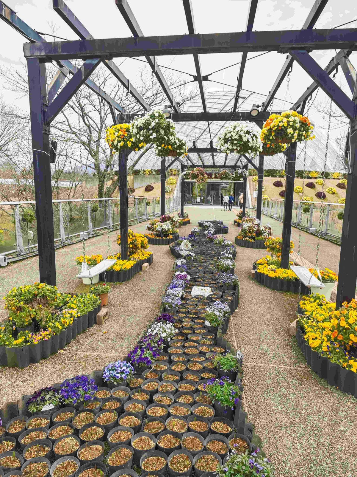 鳥取花回廊 (26).jpg 鳥取花回廊 (26).jpg