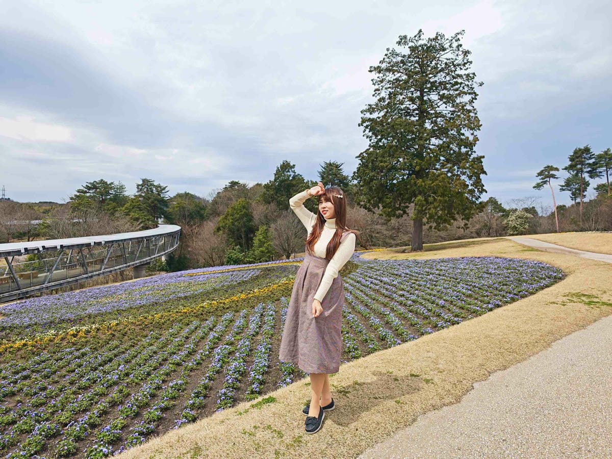 鳥取花回廊 (63).jpg 鳥取花回廊 (63).jpg