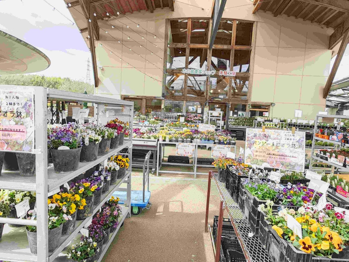 鳥取花回廊 (24).jpg 鳥取花回廊 (24).jpg