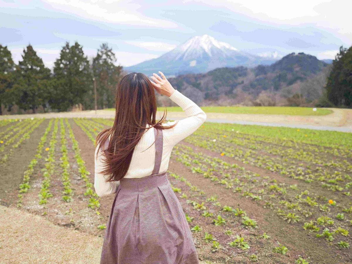 鳥取花回廊 (1).jpg 鳥取花回廊 (1).jpg