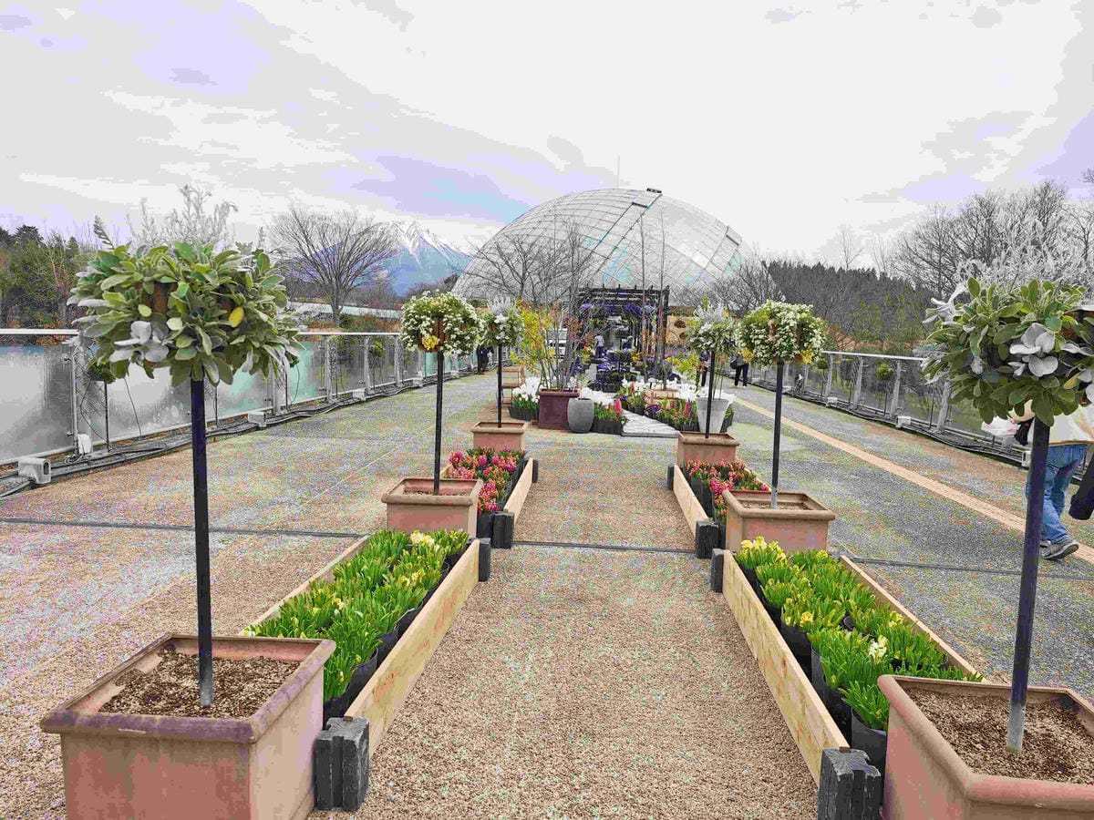 鳥取花回廊 (25).jpg 鳥取花回廊 (25).jpg