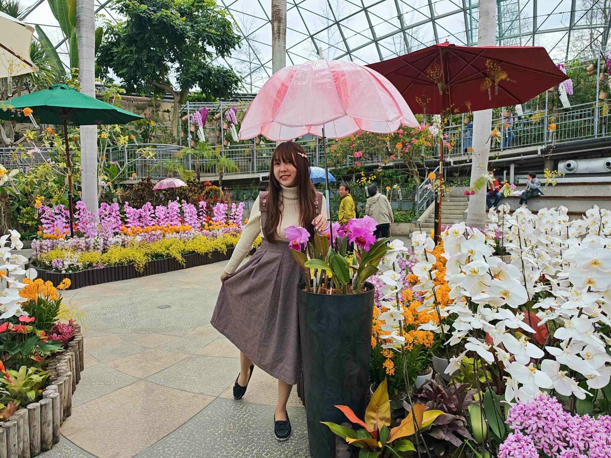 鳥取花回廊 (2).jpg 鳥取花回廊 (2).jpg