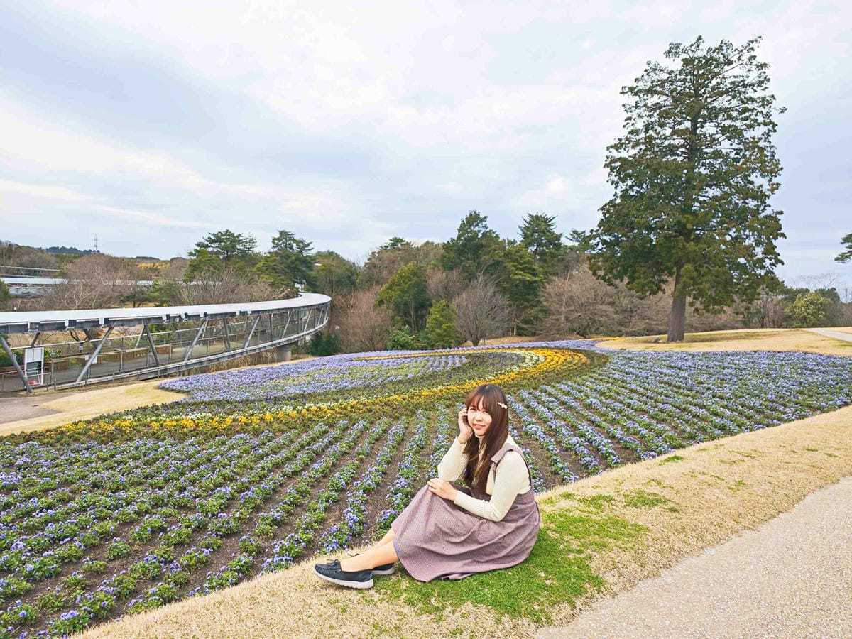 鳥取花回廊 (62).jpg 鳥取花回廊 (62).jpg