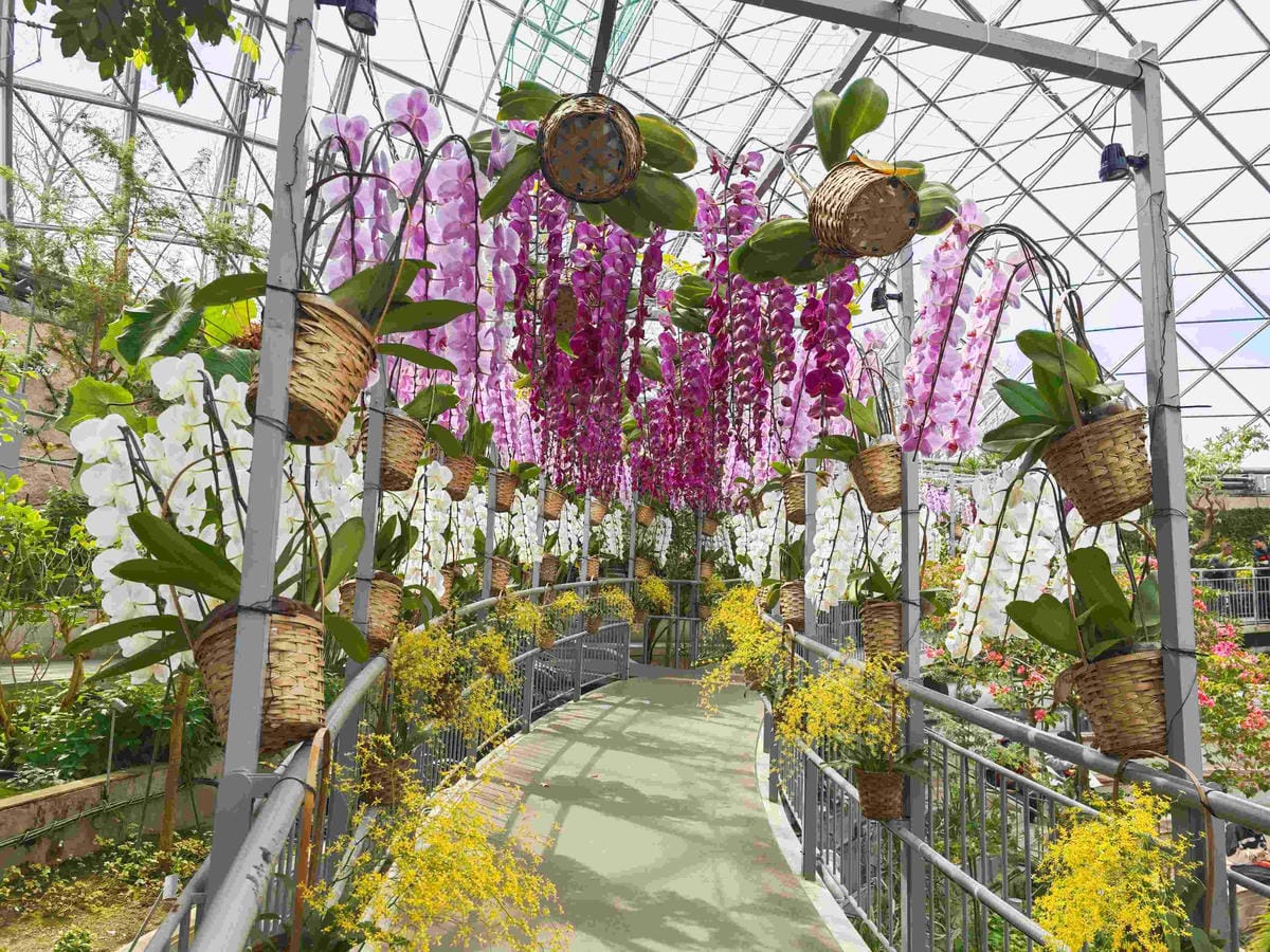 鳥取花回廊 (29).jpg 鳥取花回廊 (29).jpg