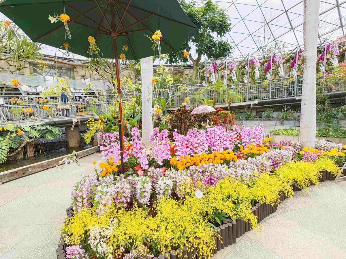 鳥取花回廊 (33).jpg 鳥取花回廊 (33).jpg