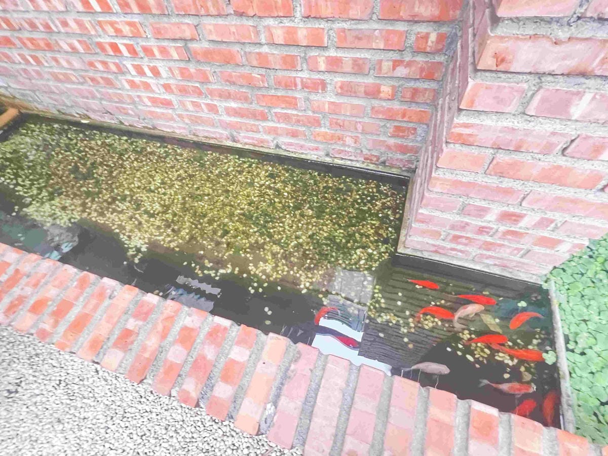 緞帶王觀光工廠 (105).jpg 緞帶王觀光工廠 (105).jpg