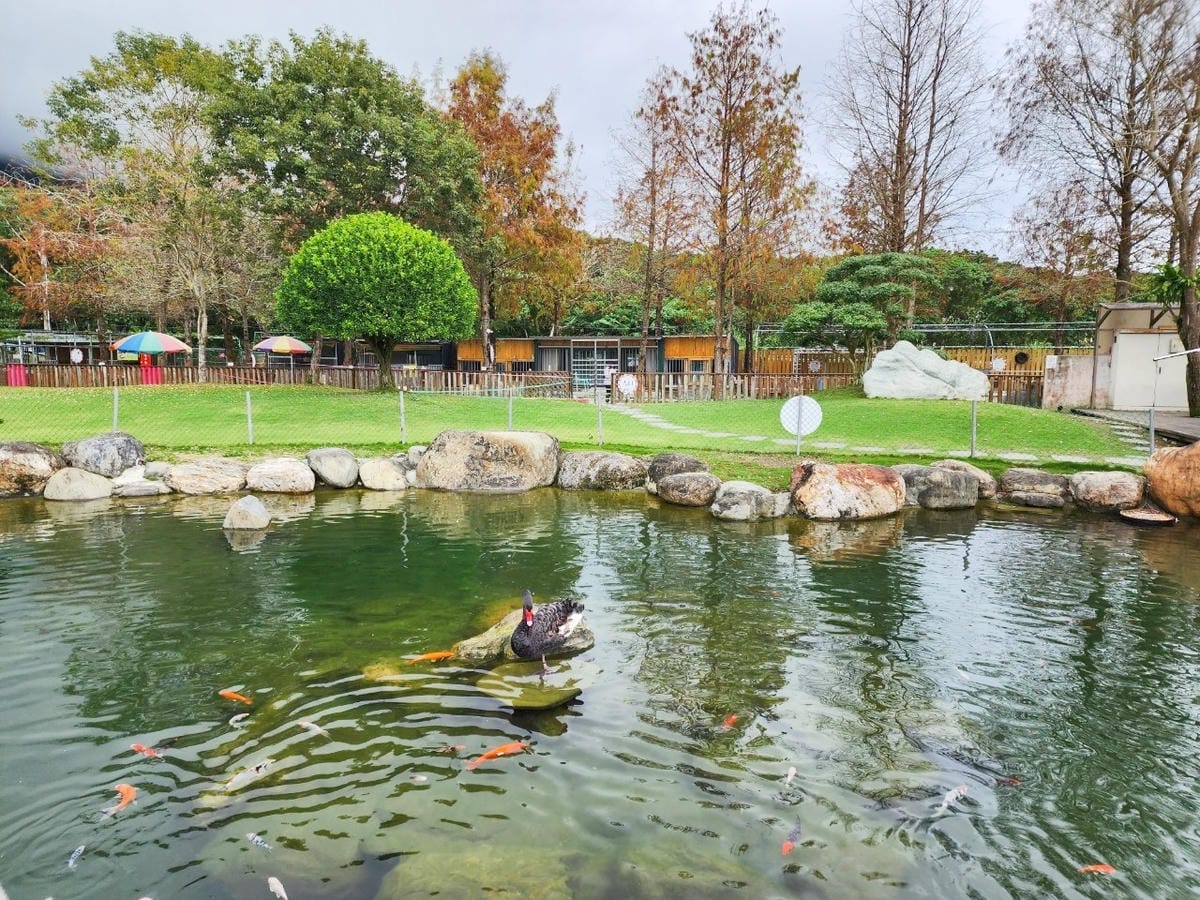 洄瀾灣親子動物園區 (62).jpg 洄瀾灣親子動物園區 (62).jpg