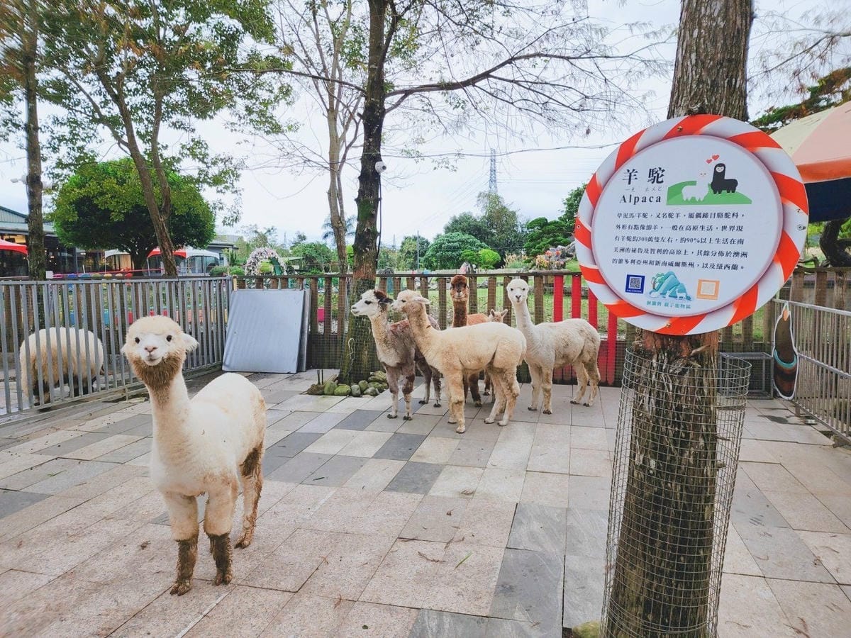 洄瀾灣親子動物園區 (36).jpg 洄瀾灣親子動物園區 (36).jpg