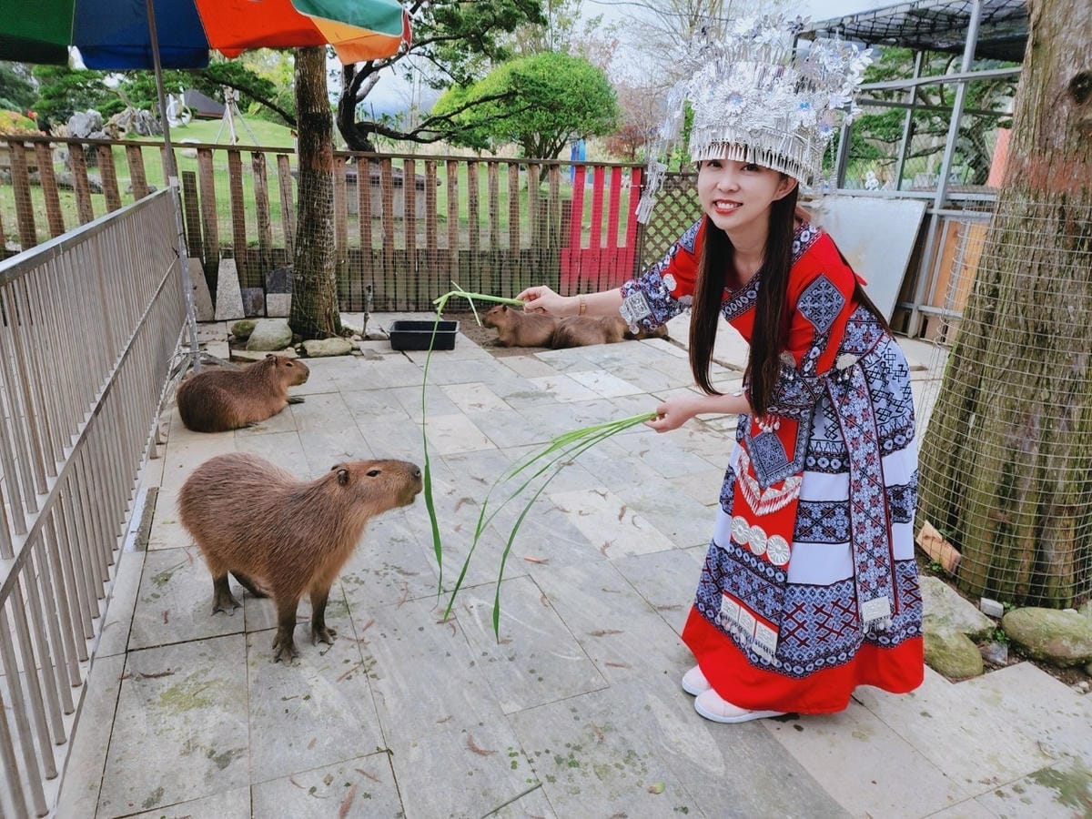 洄瀾灣親子動物園區 (7).jpg 洄瀾灣親子動物園區 (7).jpg