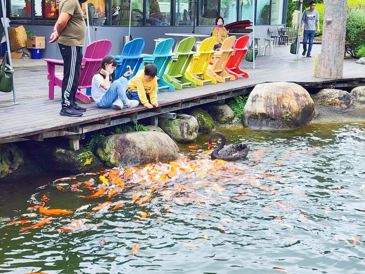 洄瀾灣親子動物園區 (77).jpg 洄瀾灣親子動物園區 (77).jpg