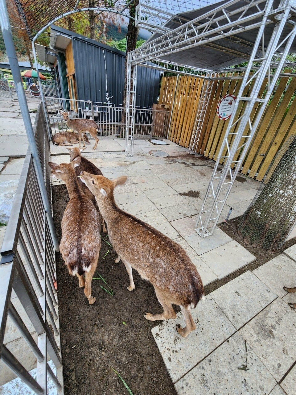 洄瀾灣親子動物園區 (50).jpg 洄瀾灣親子動物園區 (50).jpg