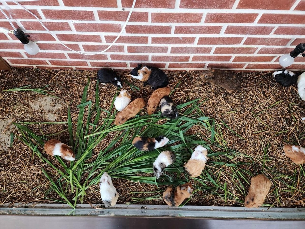洄瀾灣親子動物園區 (79).jpg 洄瀾灣親子動物園區 (79).jpg