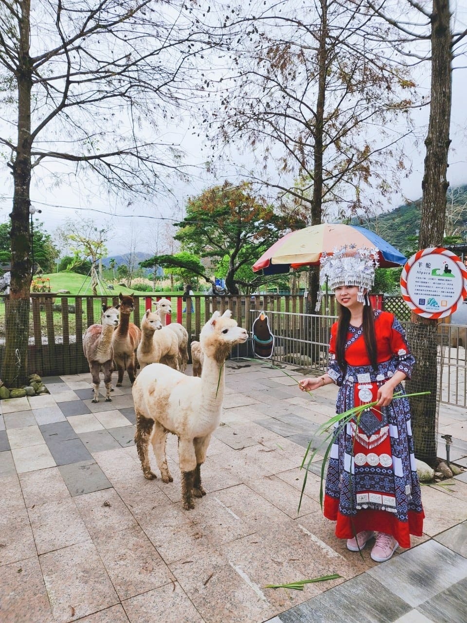 洄瀾灣親子動物園區 (35).jpg 洄瀾灣親子動物園區 (35).jpg