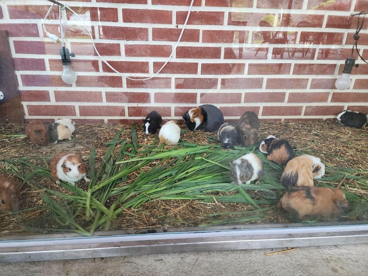 洄瀾灣親子動物園區 (80).jpg 洄瀾灣親子動物園區 (80).jpg