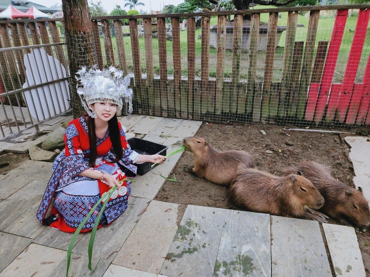 洄瀾灣親子動物園區 (37).jpg 洄瀾灣親子動物園區 (37).jpg