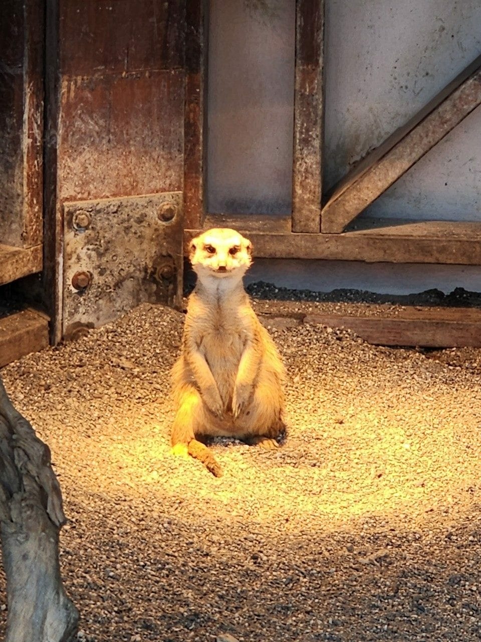 洄瀾灣親子動物園區 (92).jpg 洄瀾灣親子動物園區 (92).jpg
