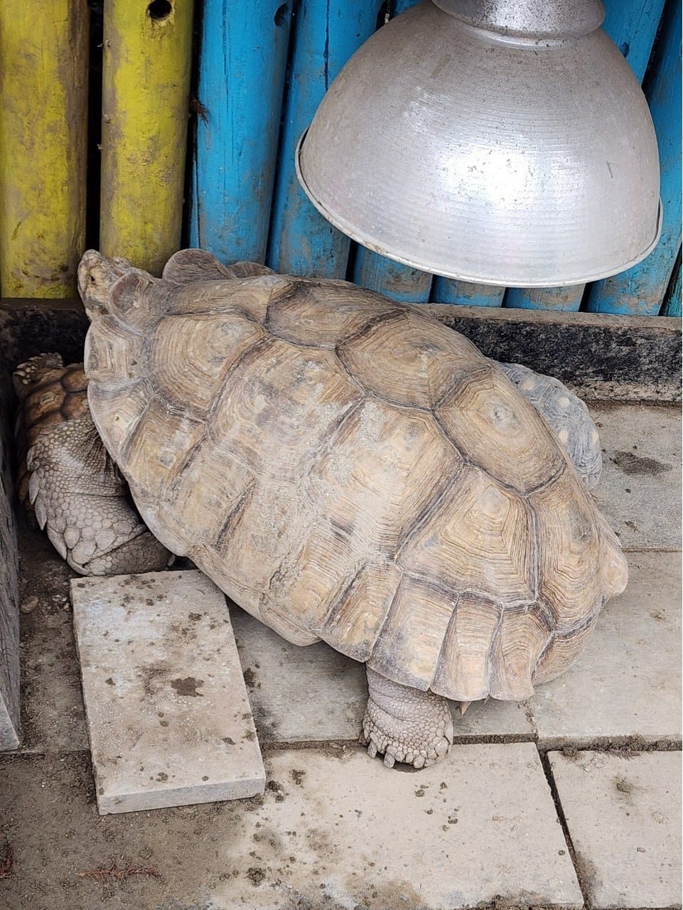 洄瀾灣親子動物園區 (30).jpg 洄瀾灣親子動物園區 (30).jpg