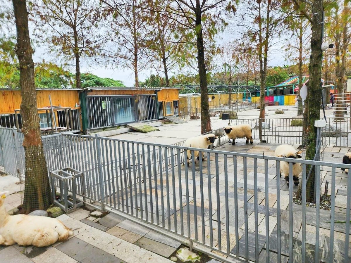 洄瀾灣親子動物園區 (76).jpg 洄瀾灣親子動物園區 (76).jpg