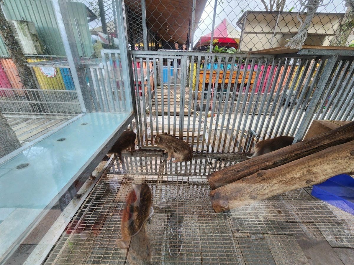 洄瀾灣親子動物園區 (51).jpg 洄瀾灣親子動物園區 (51).jpg
