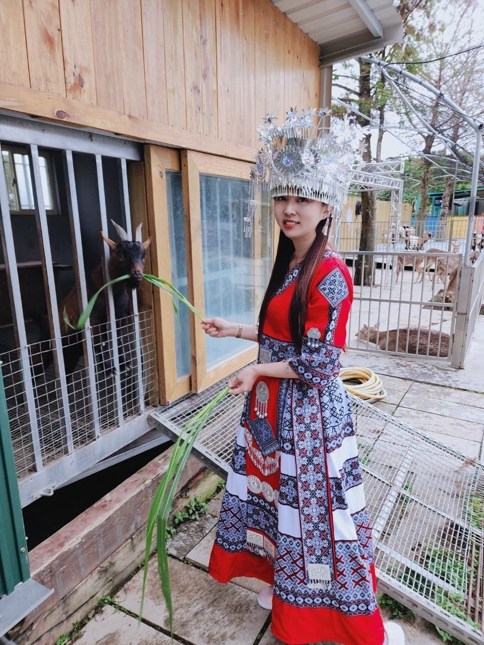 洄瀾灣親子動物園區 (46).jpg 洄瀾灣親子動物園區 (46).jpg