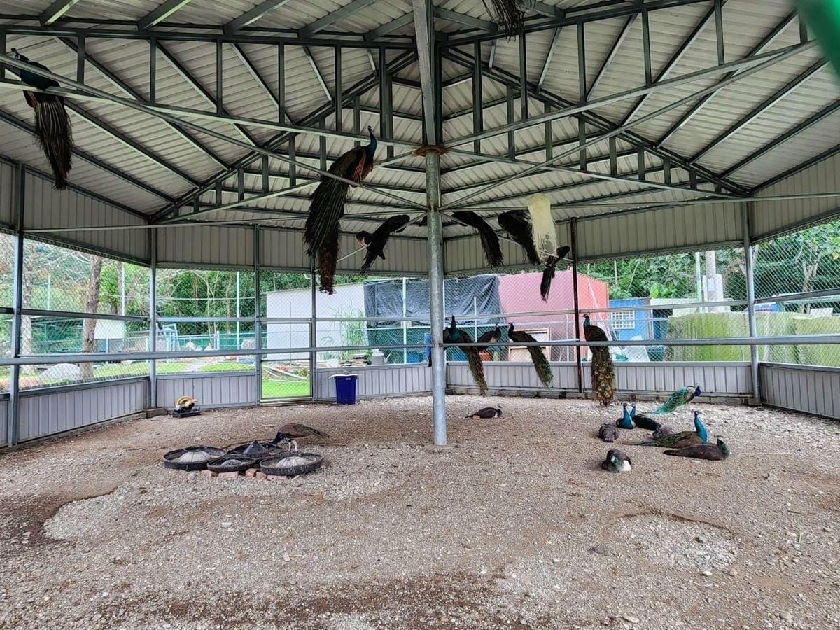 洄瀾灣親子動物園區 (70).jpg 洄瀾灣親子動物園區 (70).jpg