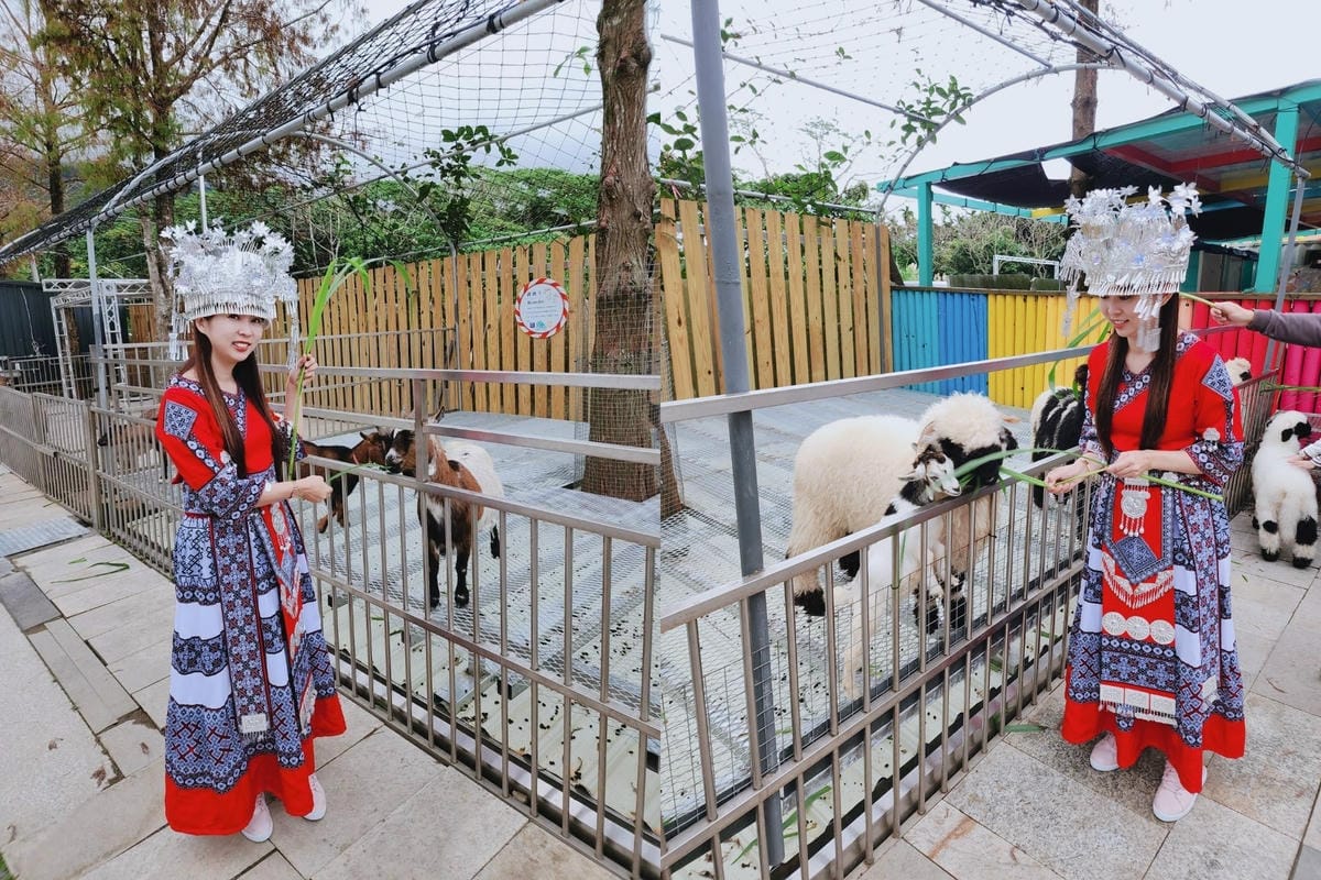 洄瀾灣親子動物園區 (32).jpg 洄瀾灣親子動物園區 (32).jpg