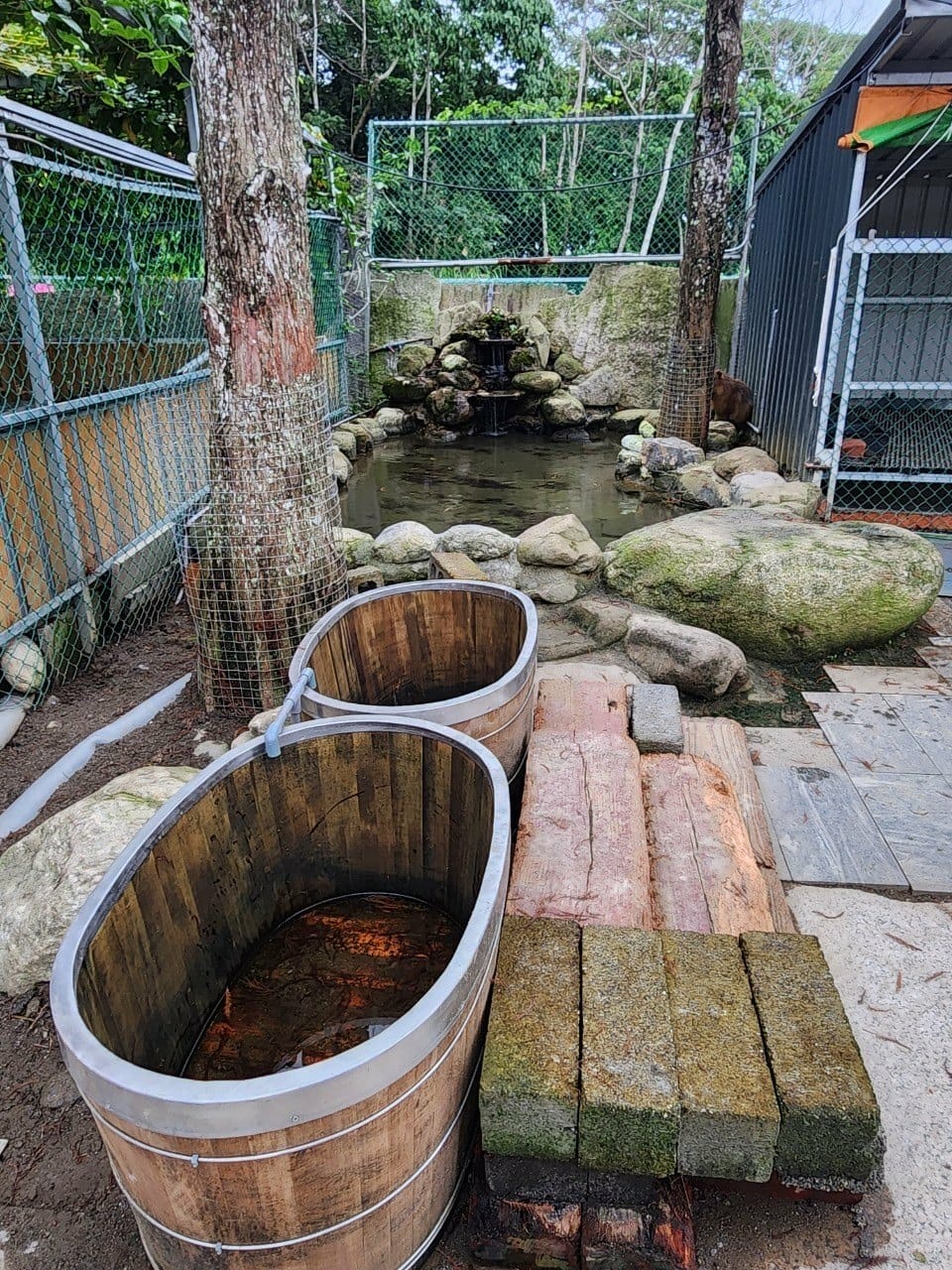 洄瀾灣親子動物園區 (42).jpg 洄瀾灣親子動物園區 (42).jpg