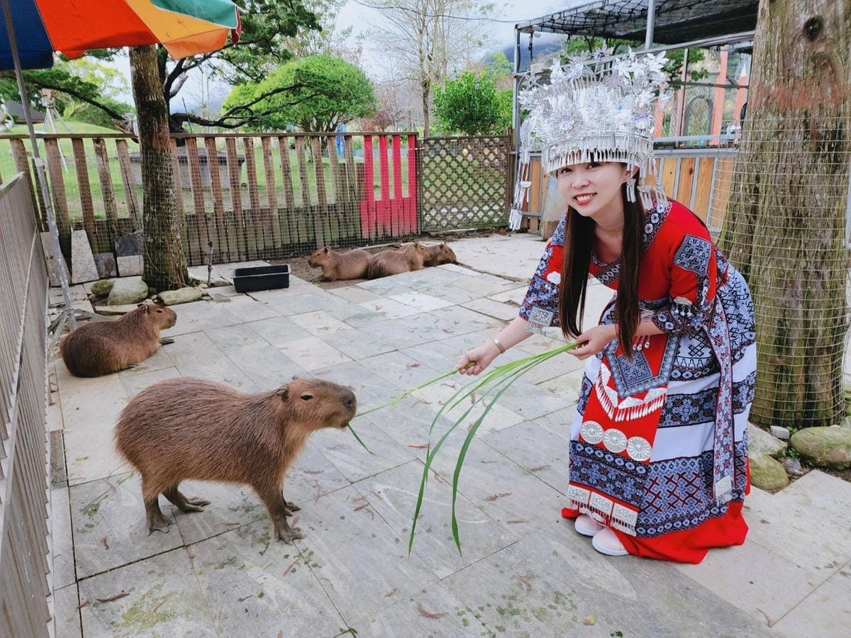 洄瀾灣親子動物園區 (38).jpg 洄瀾灣親子動物園區 (38).jpg