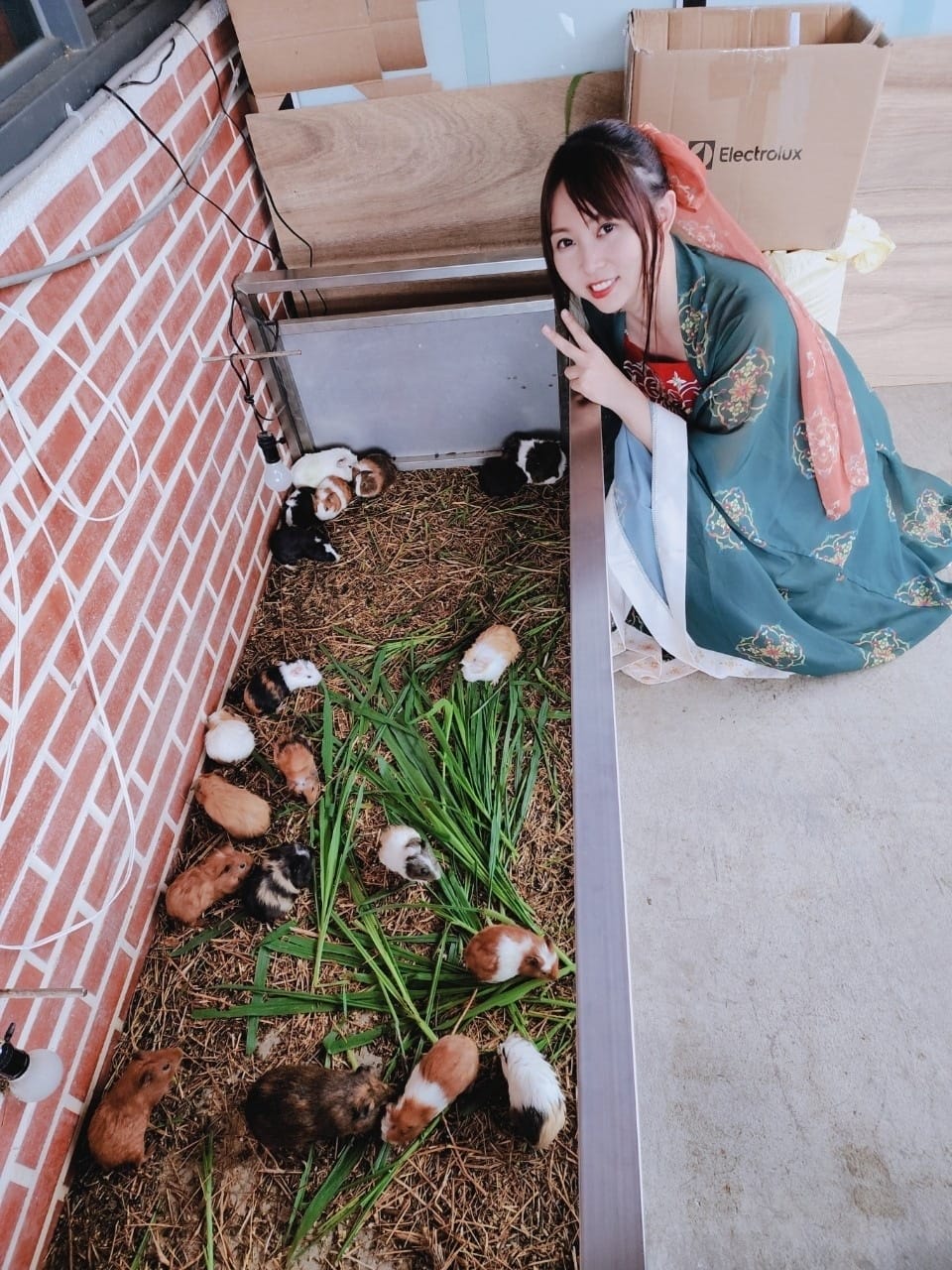 洄瀾灣親子動物園區 (4).jpg 洄瀾灣親子動物園區 (4).jpg