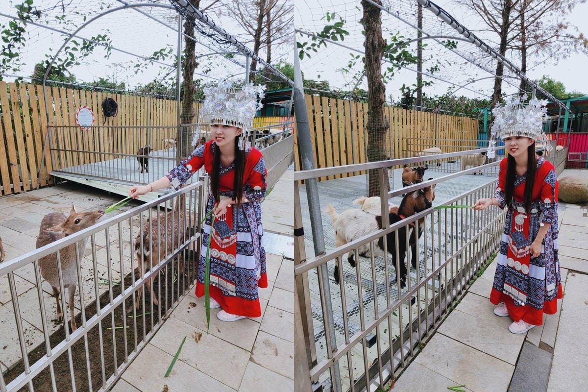 洄瀾灣親子動物園區 (49).jpg 洄瀾灣親子動物園區 (49).jpg