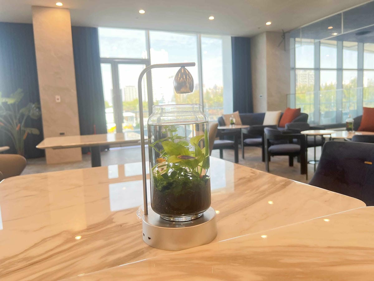 亞菓遊艇會 (27).jpg 亞菓遊艇會 (27).jpg