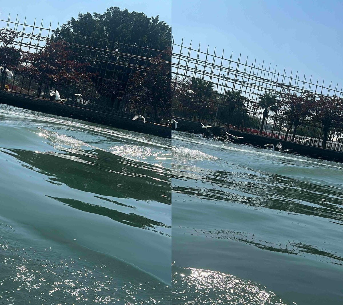 亞菓遊艇會 (14).jpg 亞菓遊艇會 (14).jpg