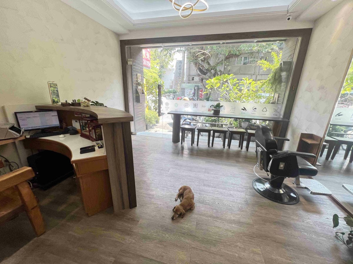 蓁HAIR(金韓今) (8).jpg 蓁HAIR(金韓今) (8).jpg