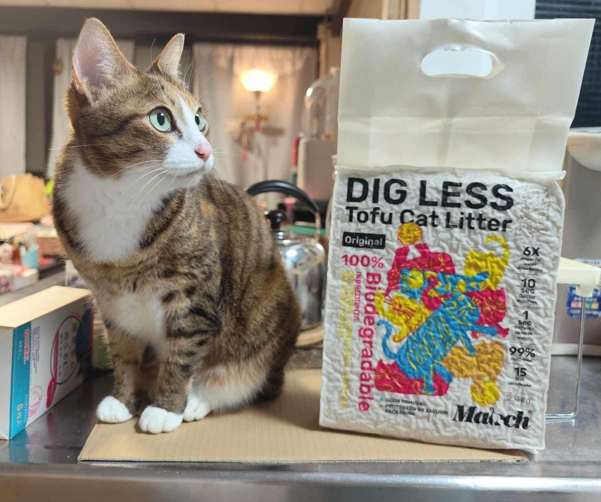 超吸⽔無粉塵⾖腐砂推薦_喵趣Maoch (50).jpg 超吸⽔無粉塵⾖腐砂推薦_喵趣Maoch (50).jpg