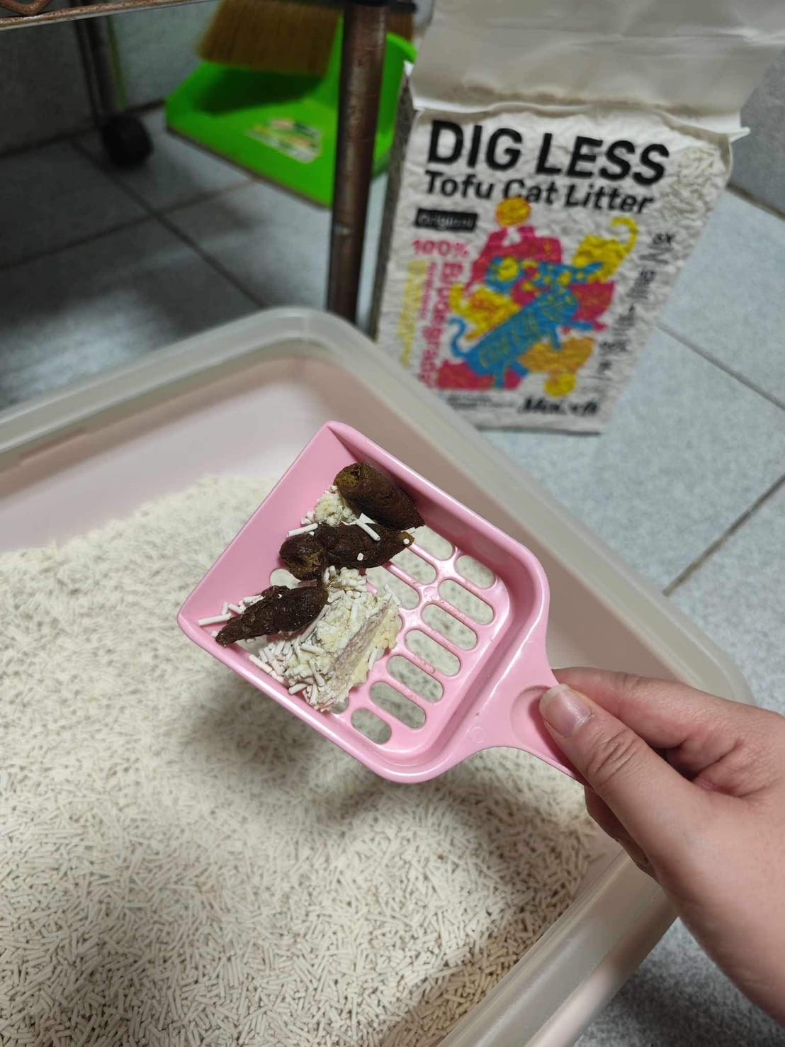 超吸⽔無粉塵⾖腐砂推薦_喵趣Maoch (59).jpg 超吸⽔無粉塵⾖腐砂推薦_喵趣Maoch (59).jpg