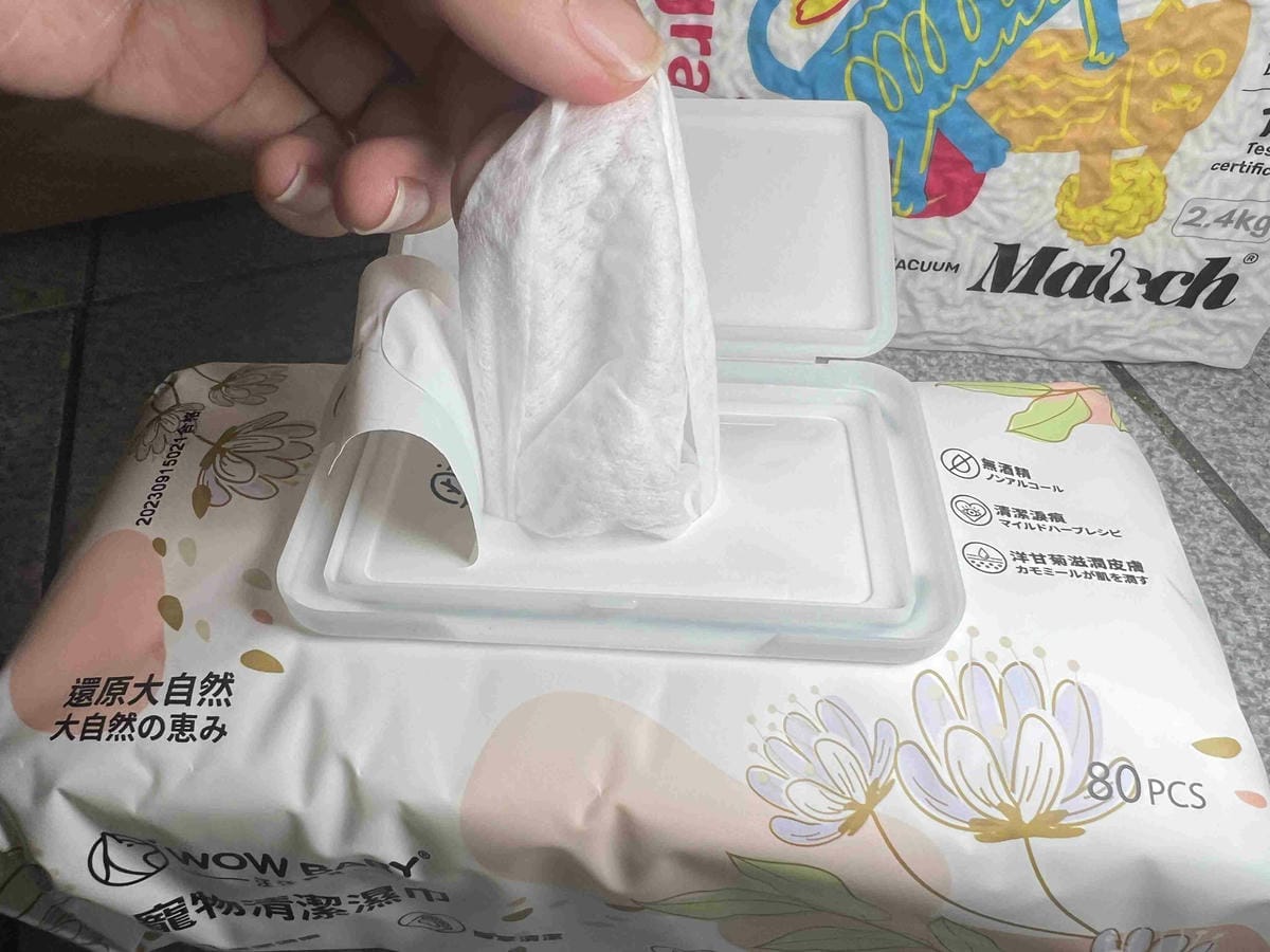 超吸⽔無粉塵⾖腐砂推薦_喵趣Maoch (33).jpg 超吸⽔無粉塵⾖腐砂推薦_喵趣Maoch (33).jpg