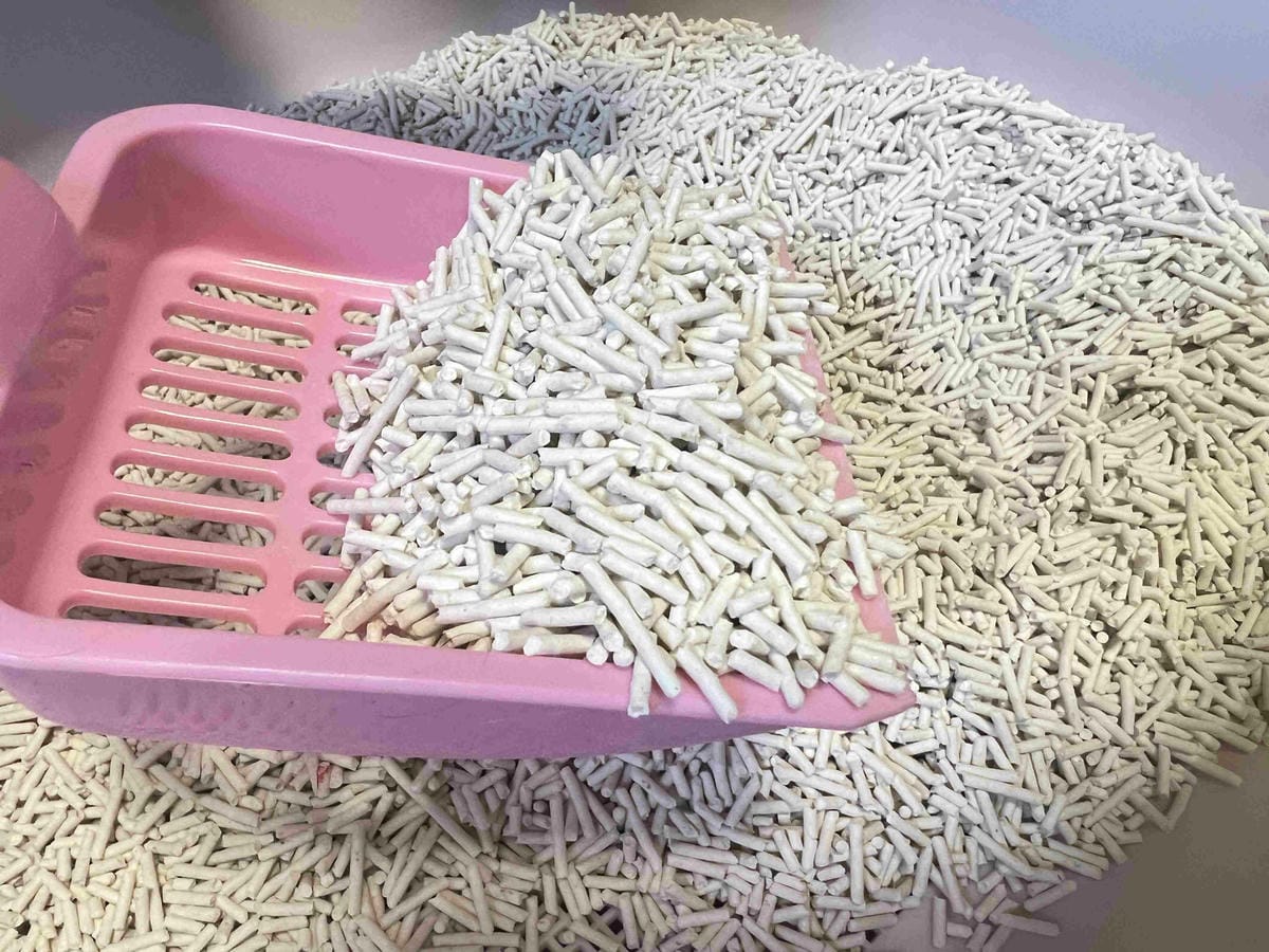 超吸⽔無粉塵⾖腐砂推薦_喵趣Maoch (15).jpg 超吸⽔無粉塵⾖腐砂推薦_喵趣Maoch (15).jpg