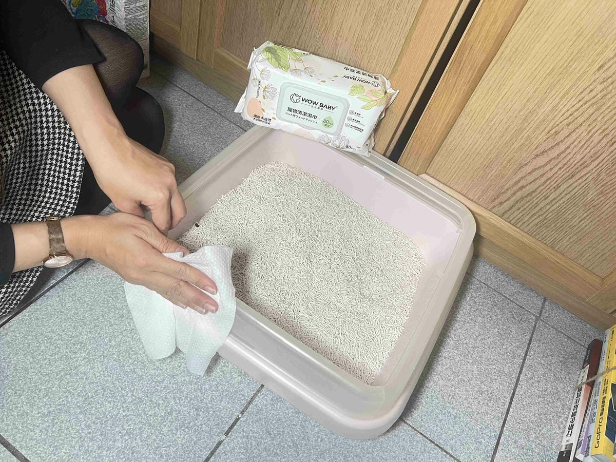 超吸⽔無粉塵⾖腐砂推薦_喵趣Maoch (36).jpg 超吸⽔無粉塵⾖腐砂推薦_喵趣Maoch (36).jpg