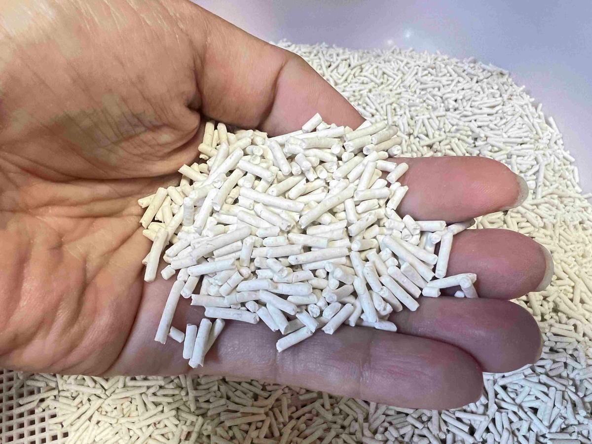 超吸⽔無粉塵⾖腐砂推薦_喵趣Maoch (14).jpg 超吸⽔無粉塵⾖腐砂推薦_喵趣Maoch (14).jpg