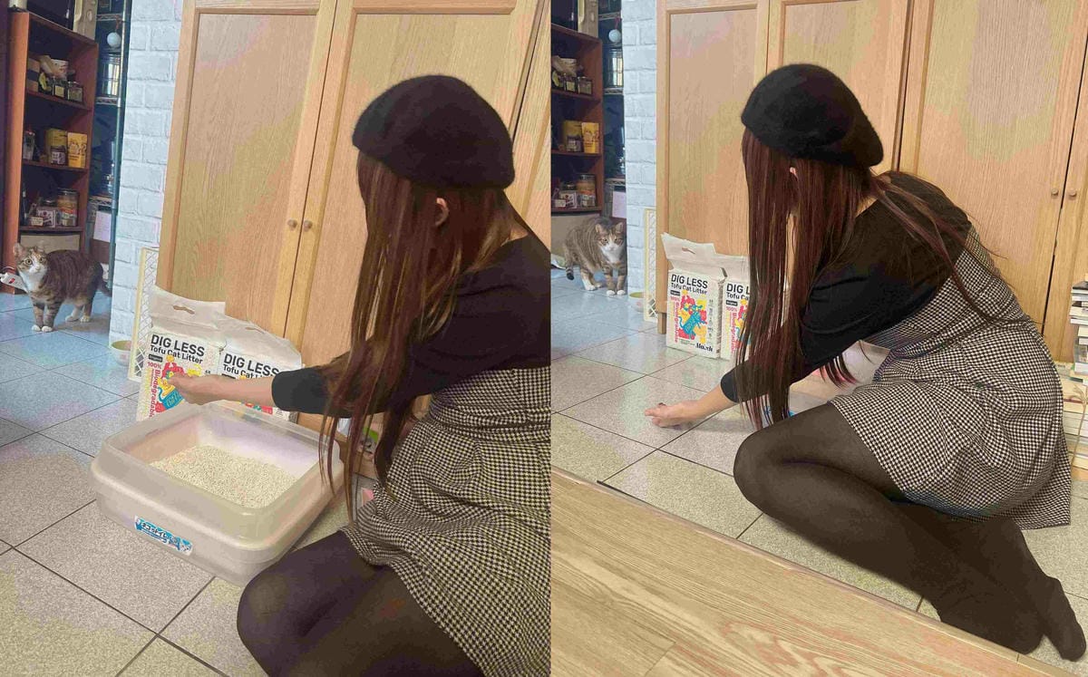 超吸⽔無粉塵⾖腐砂推薦_喵趣Maoch (23).jpg 超吸⽔無粉塵⾖腐砂推薦_喵趣Maoch (23).jpg