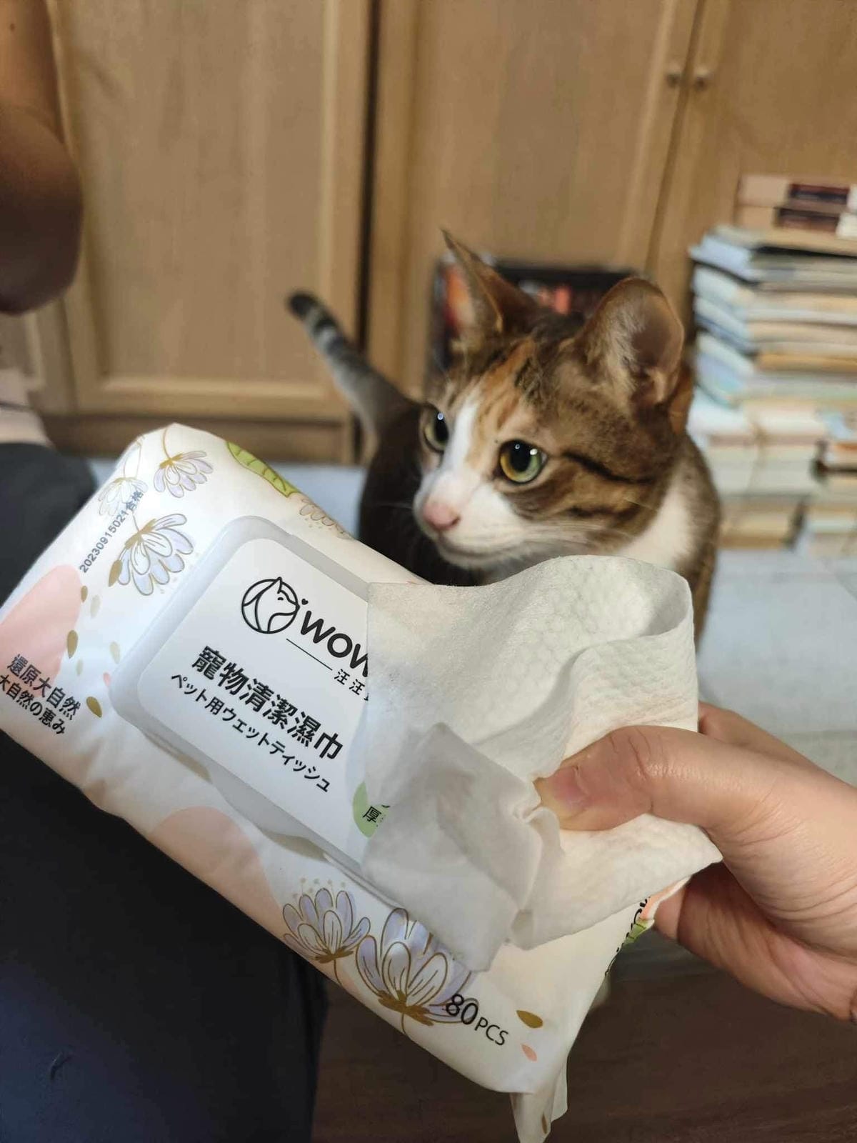 超吸⽔無粉塵⾖腐砂推薦_喵趣Maoch (51).jpg 超吸⽔無粉塵⾖腐砂推薦_喵趣Maoch (51).jpg