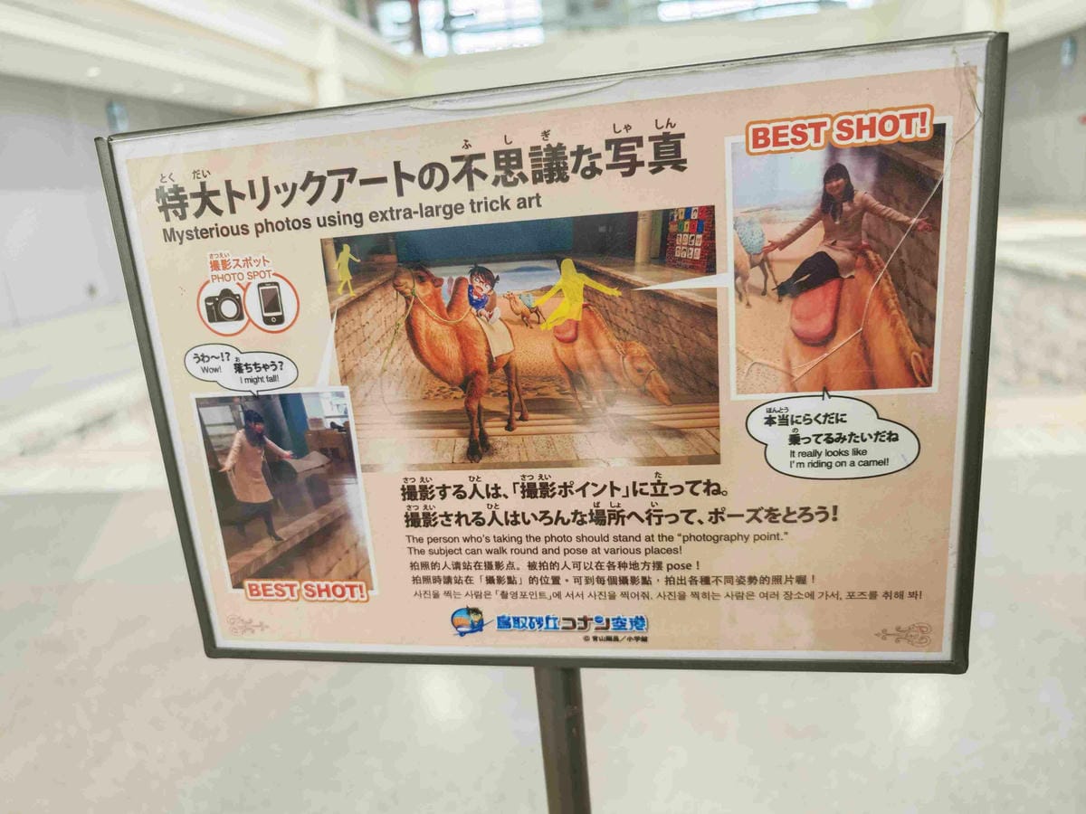 鳥取砂丘機場(柯南機場) (58).jpg 鳥取砂丘機場(柯南機場) (58).jpg