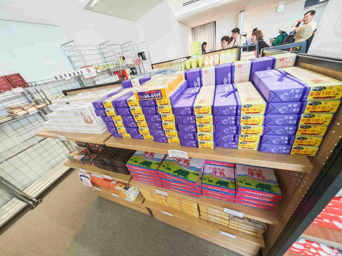 鳥取砂丘機場(柯南機場) (64).jpg 鳥取砂丘機場(柯南機場) (64).jpg