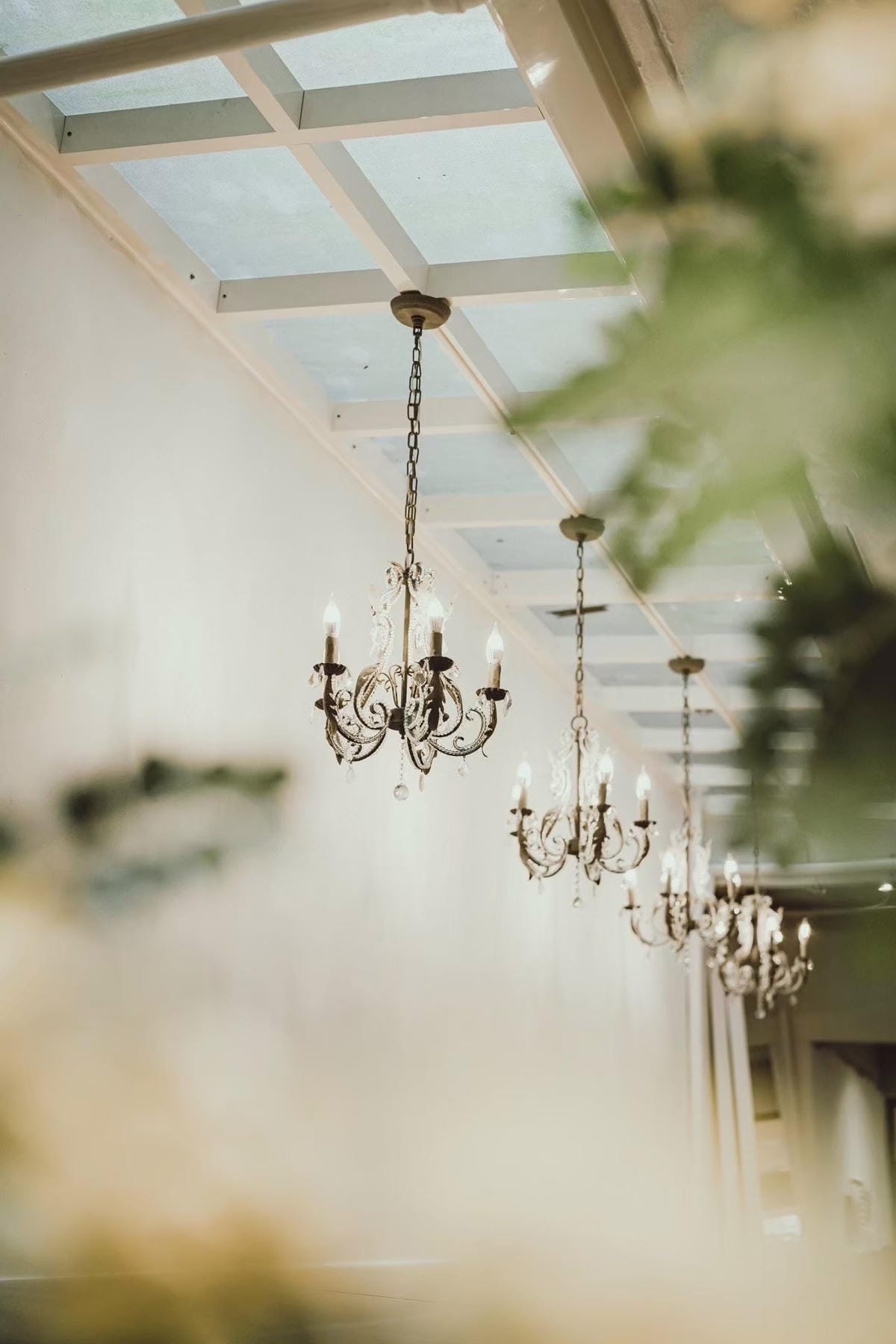 赫本的秘密花園 (57).jpg 赫本的秘密花園 (57).jpg