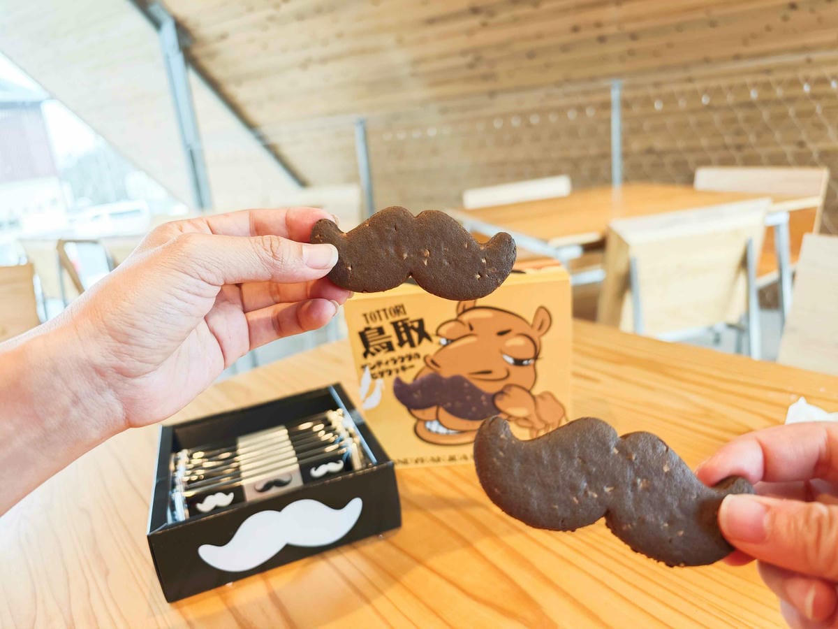 鳥取砂丘 (24).jpg