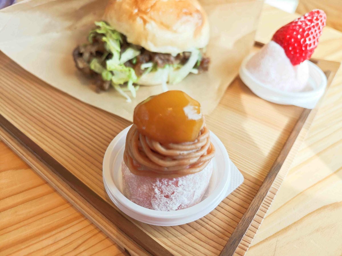 鳥取砂丘 (13).jpg