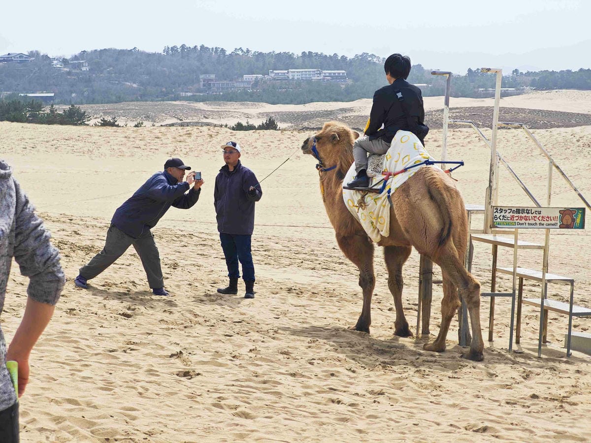 鳥取砂丘 (29).jpg